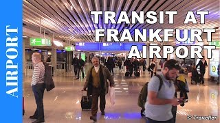 TRANSIT WALK AT FRANKFURT Airport FRA Terminal 1  Connection Flight Transfer Arriving amp Departing [upl. by Bradeord]